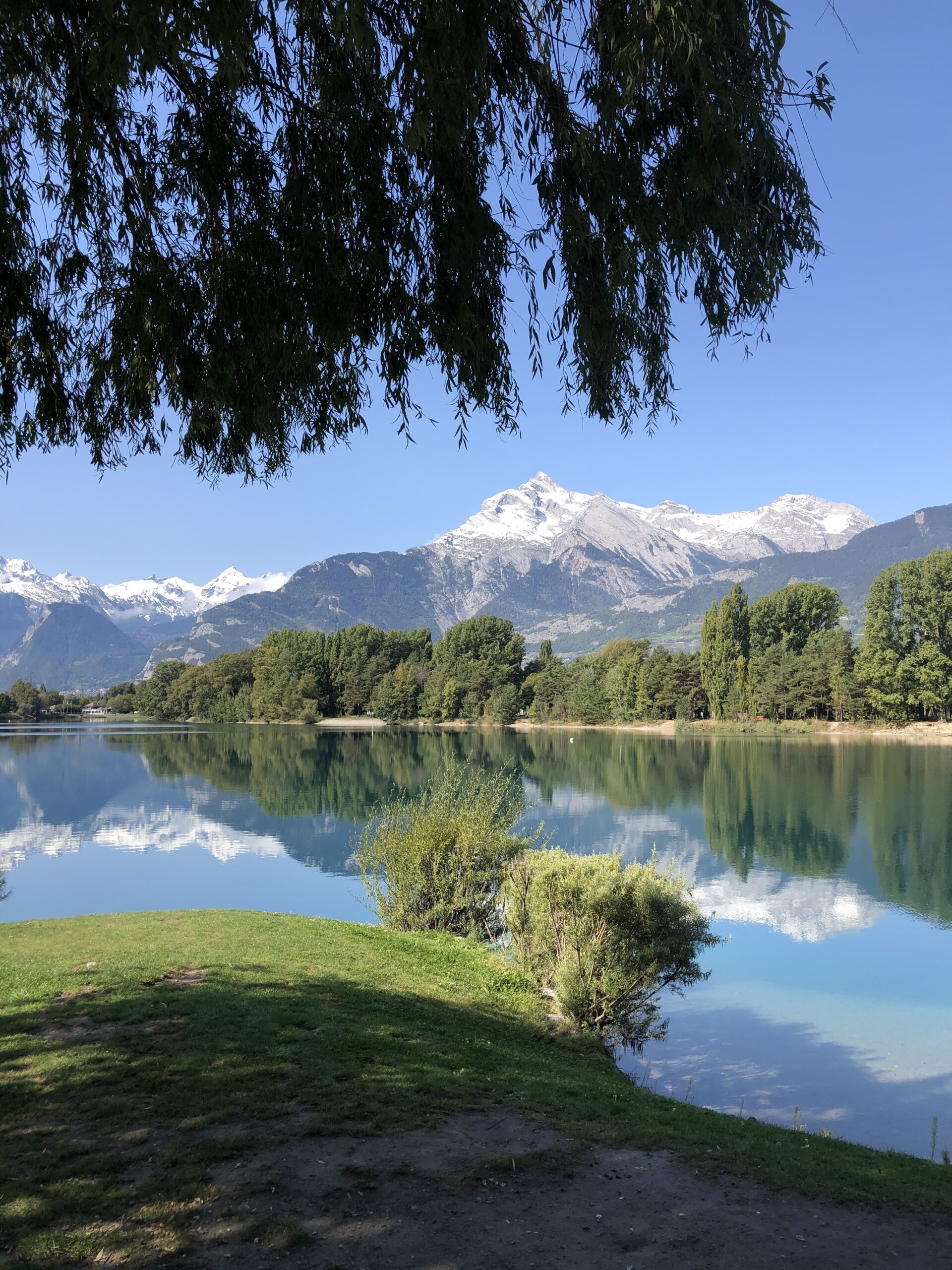 592729B9-85F9-4DAF-8B1A-619A025CD0F7